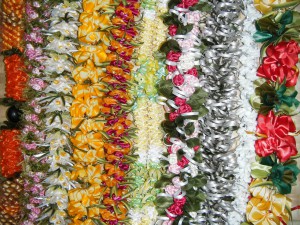 DSCF8592