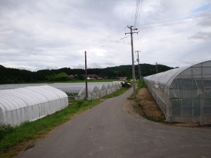 DSC09963